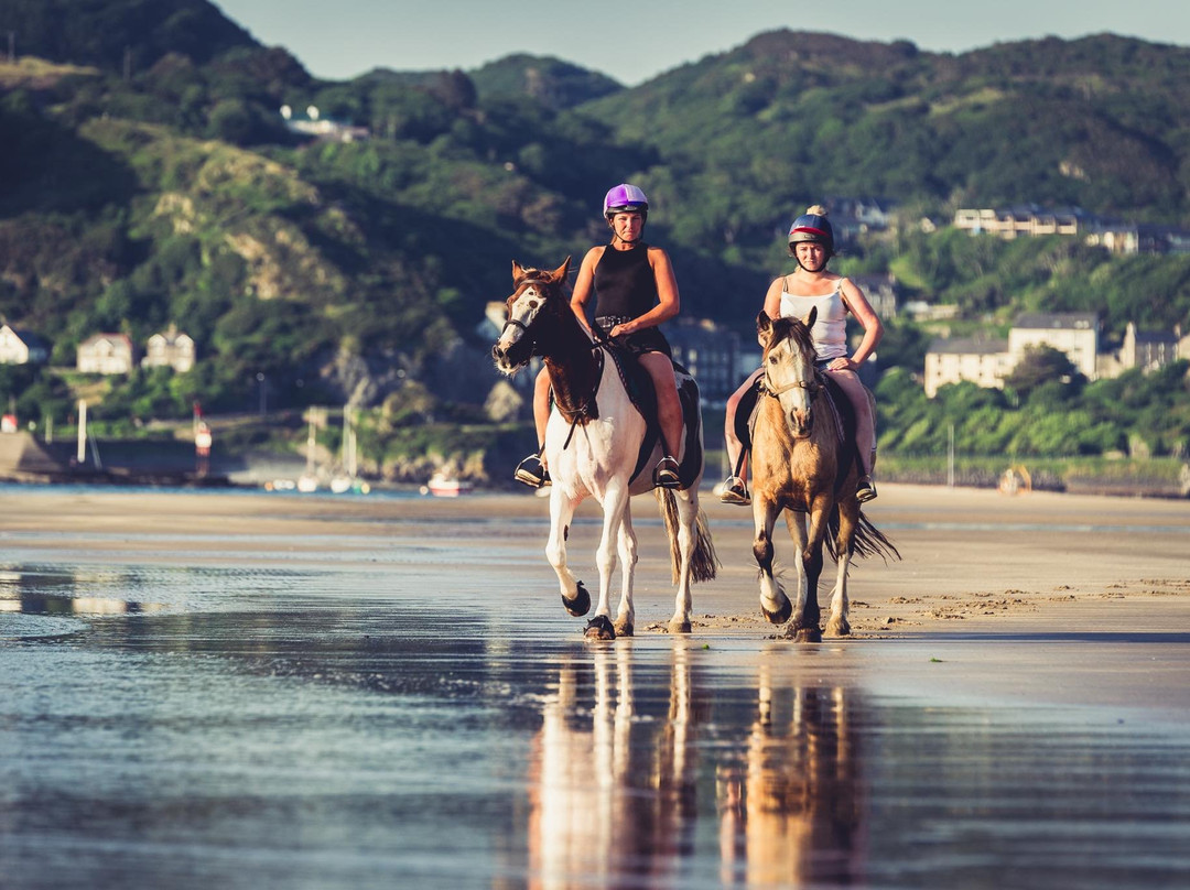 Pony Trekking at Bwlchgwyn Farm景点图片