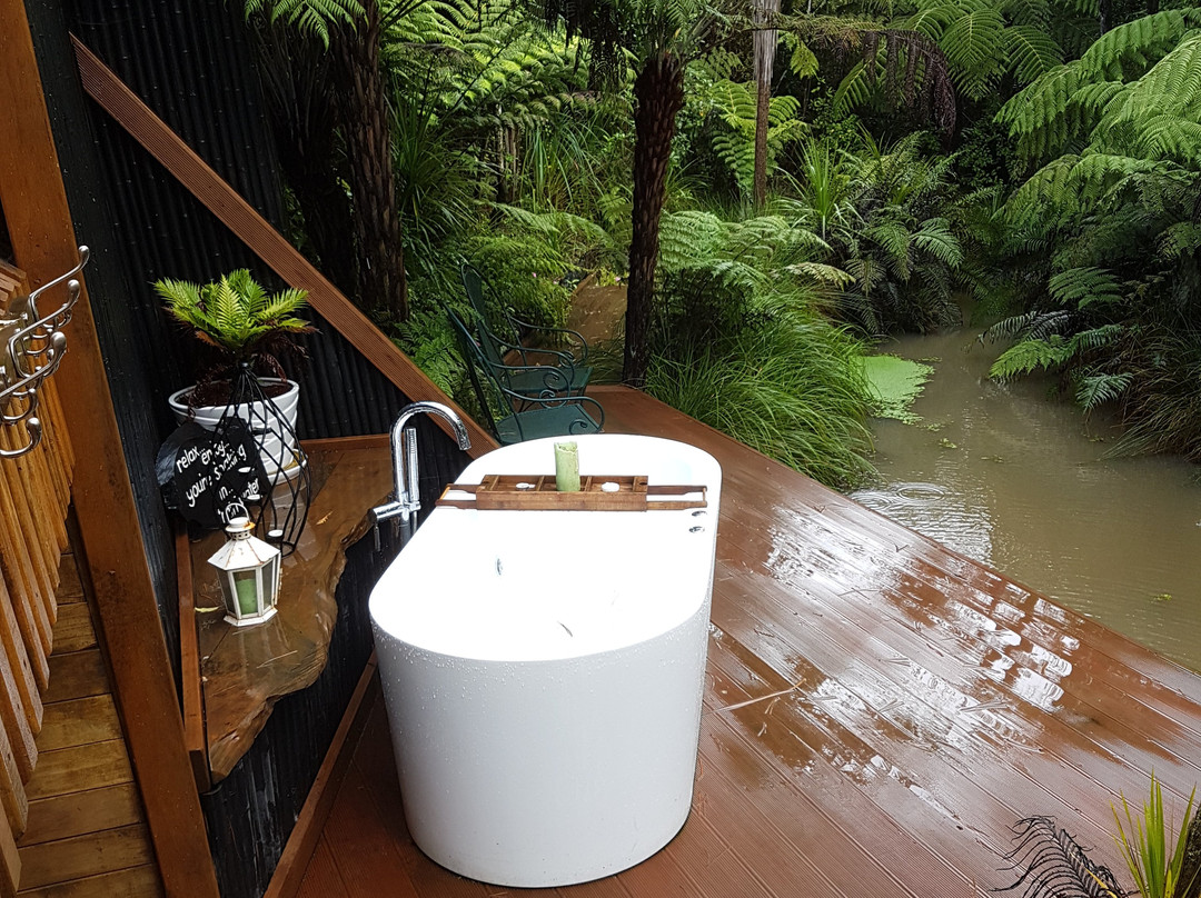 Warblers Retreat主图