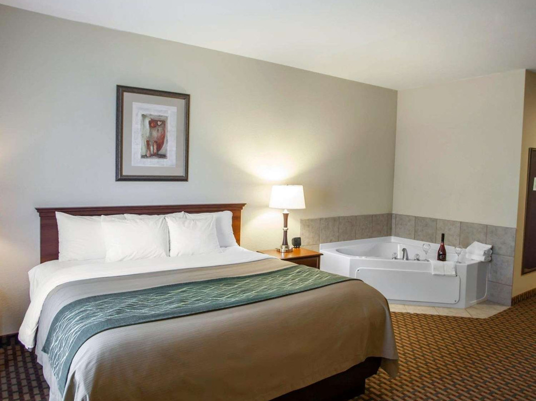 Comfort Inn & Suites主图