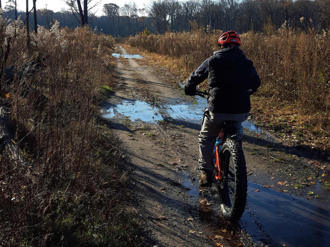 Up North Guided Tours-诺斯布鲁克必去景点