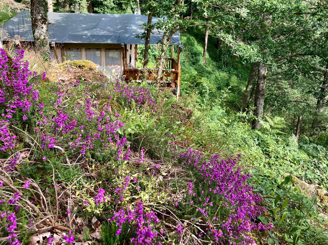 Camping Des Combes