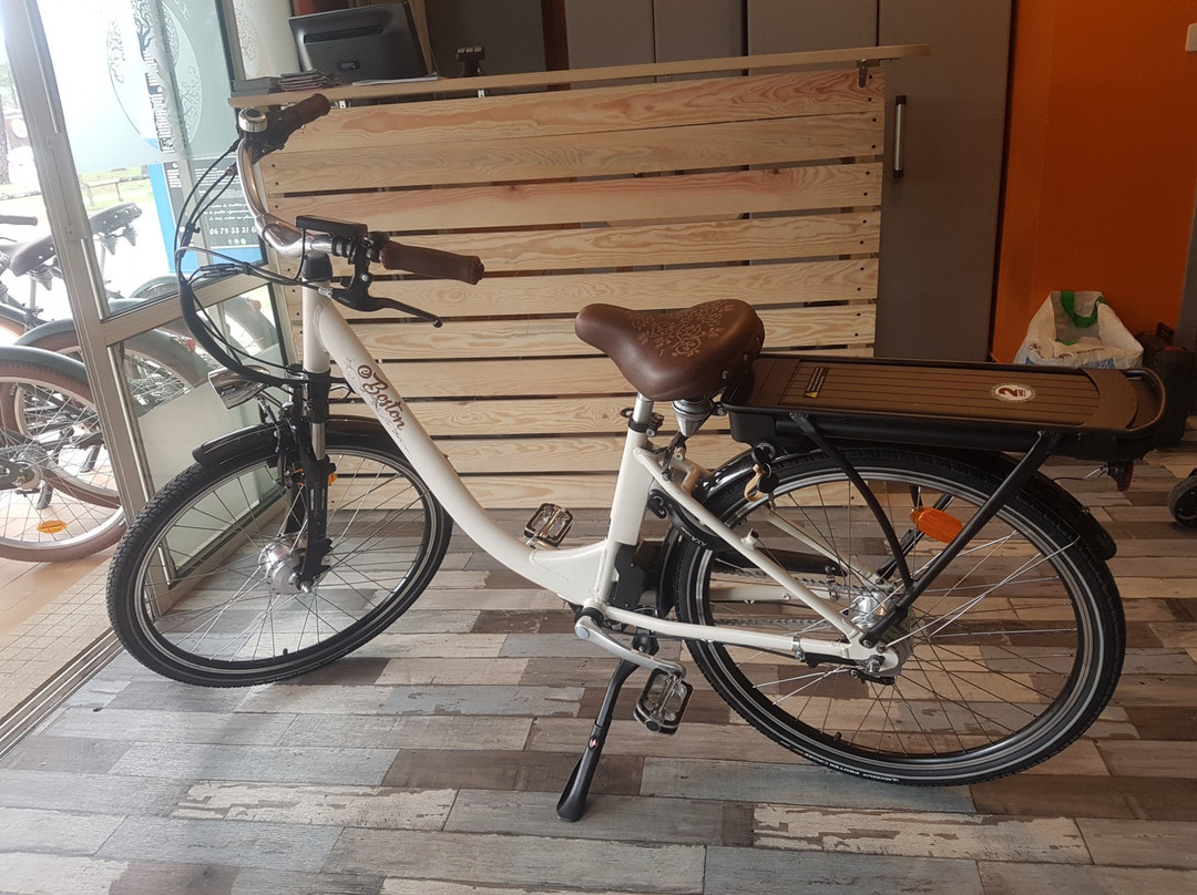 Vélo Loc 33-莱格卡弗尔雷必去景点