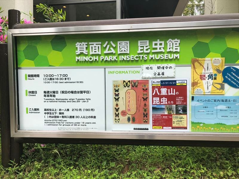 Mino Park Museum of Insects-美浓市必去景点
