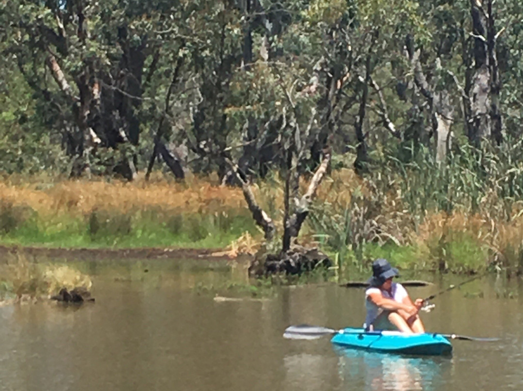 Gunbower National Park-Gunbower必去景点