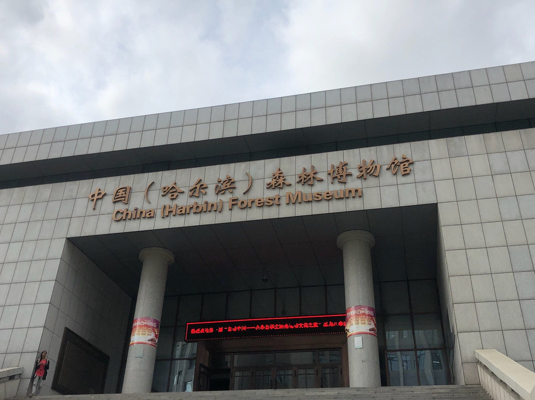 哈尔滨森林博物馆-哈尔滨市必去景点