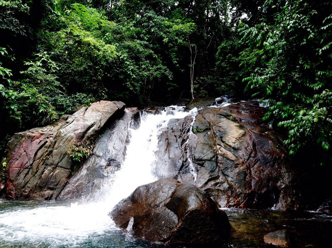 Khao Lak Travel Center景点图片