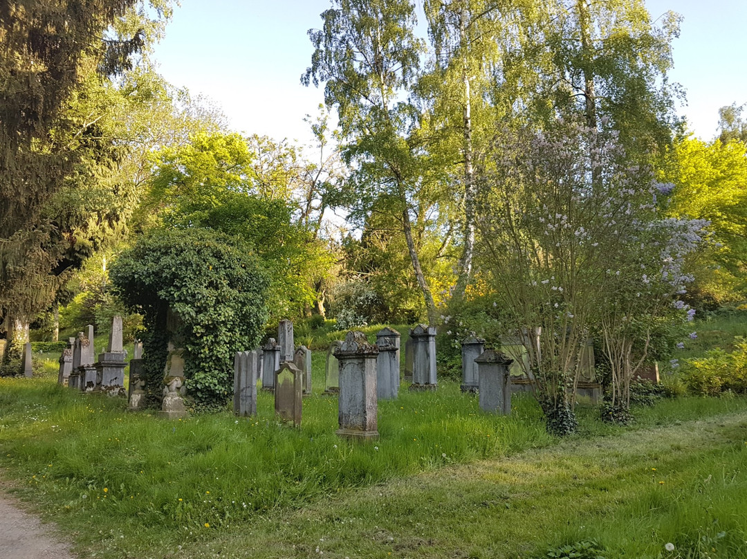 Alter Friedhof景点图片