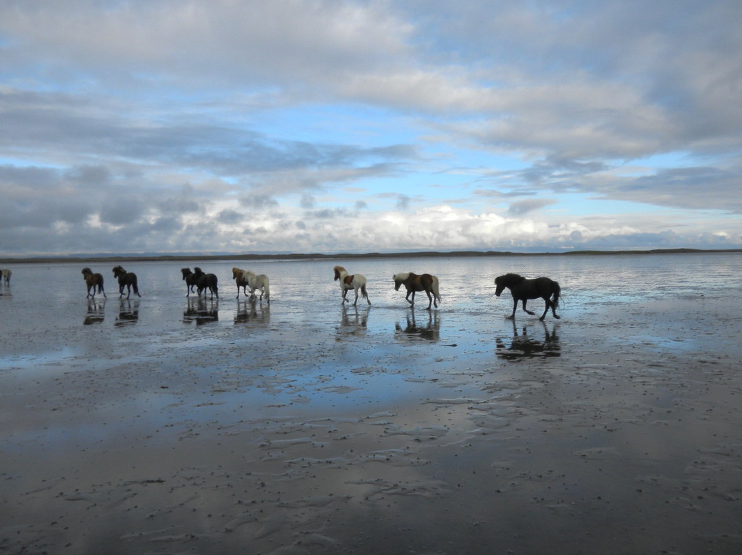 Stori Kalfalaekur-博尔加内斯必去景点