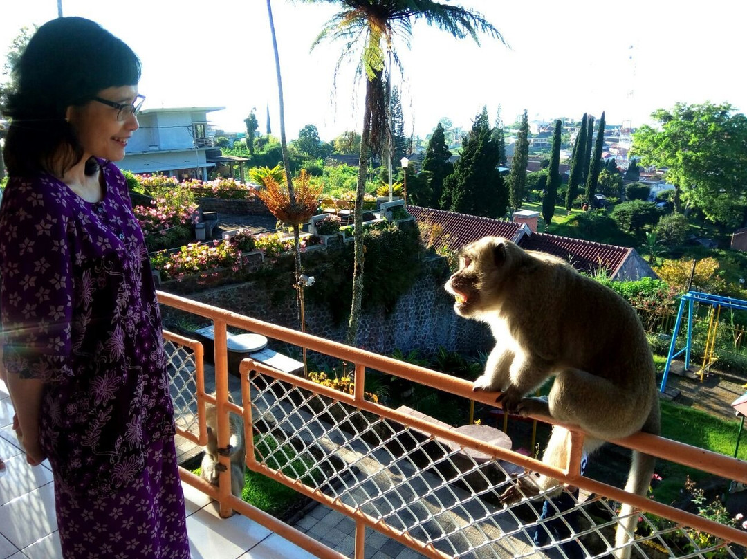 Sarangan Hotel主图