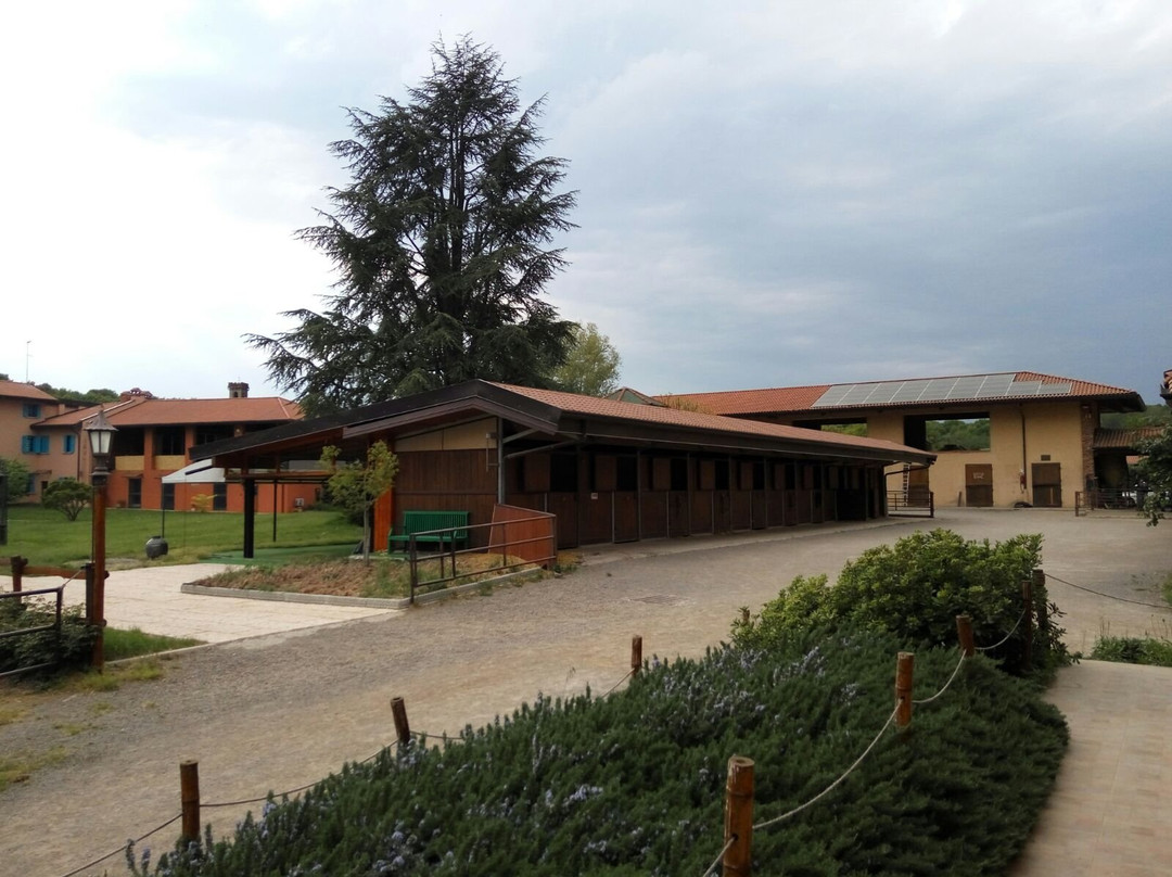 Azienda Agricola San Bartolomeo