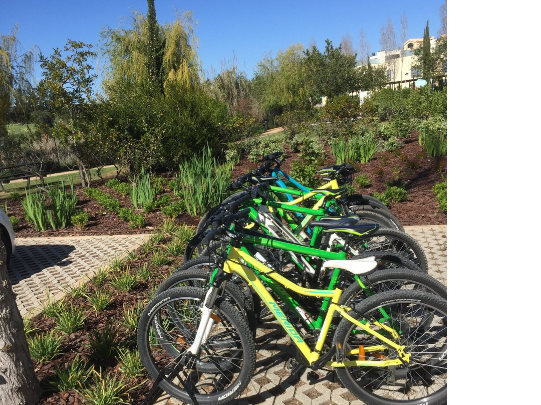 S Bikes Shop & Rentals-夸尔泰拉必去景点