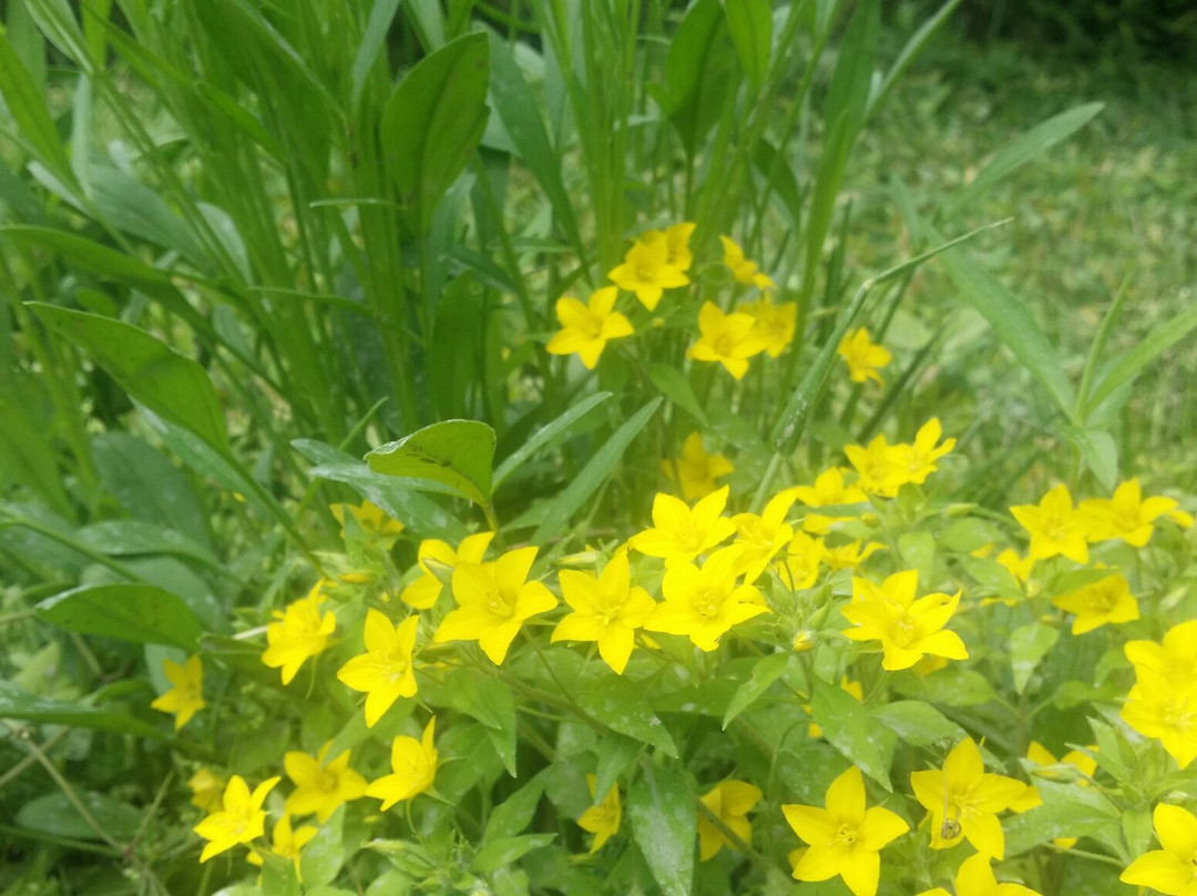 天生桥-溧水县必去景点