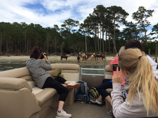 Assateague Tours-钦科蒂格岛必去景点