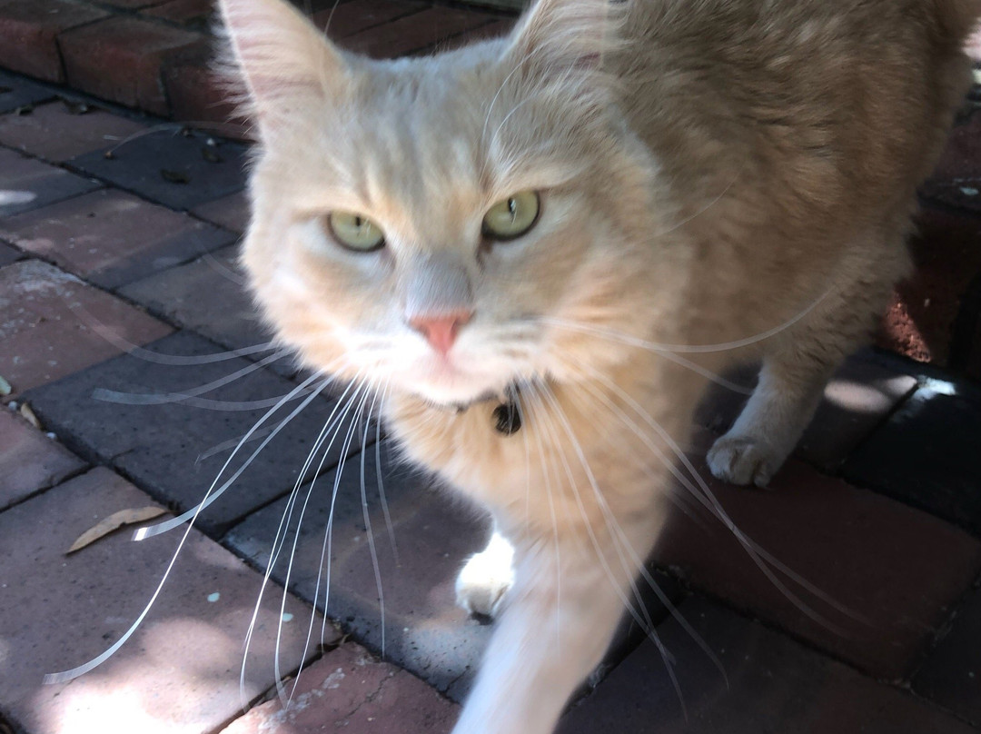 Falls Retreat B & B主图