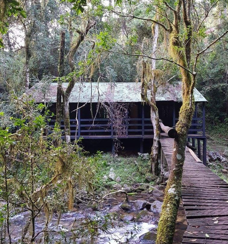 Magoebaskloof Hiking Trail-参宁必去景点