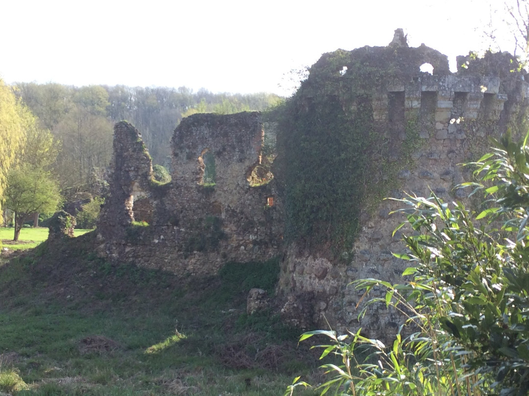 Chateau de Vaujours景点图片