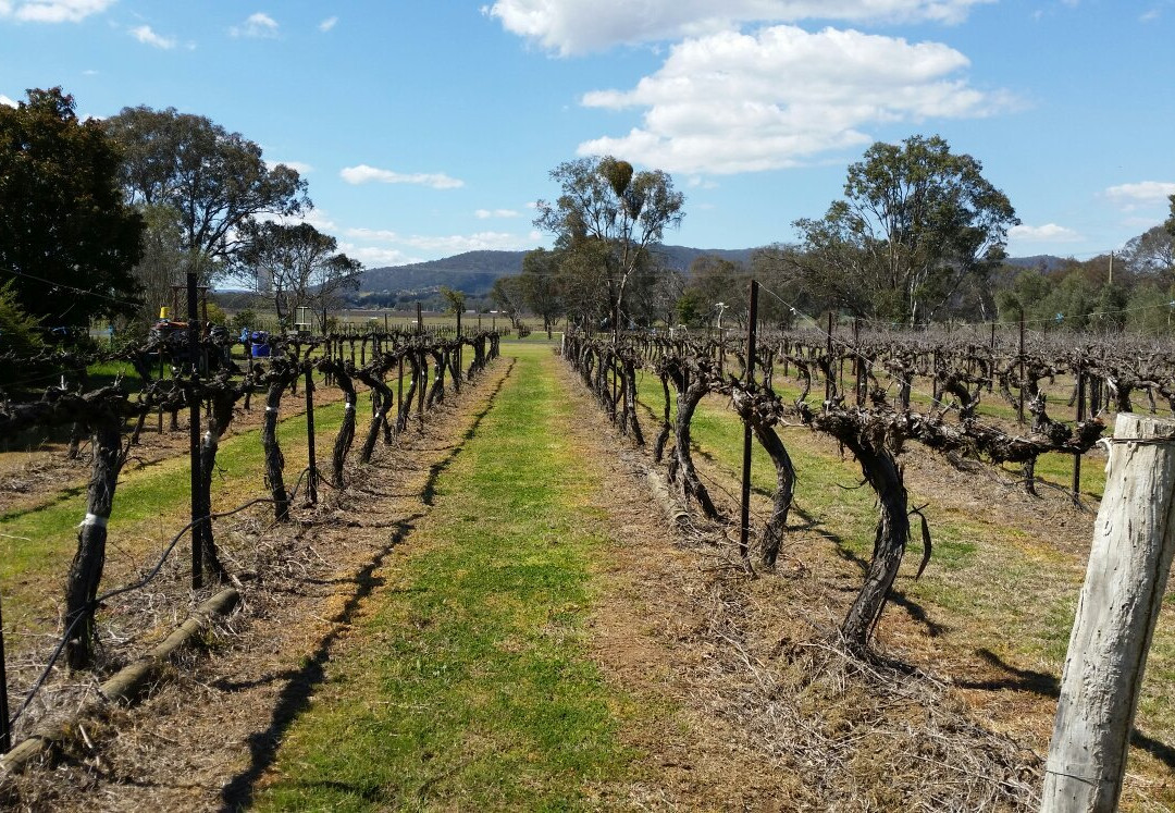 Red Clay Estate-马奇必去景点