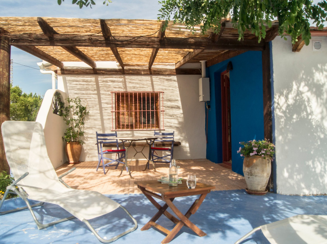 Estels Naturalicante-主图