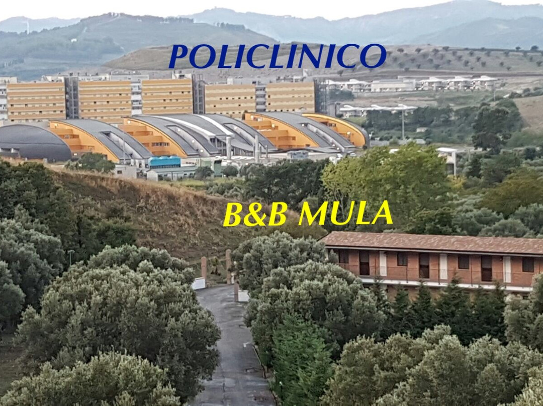 Catanzaro Lido旅游攻略图片