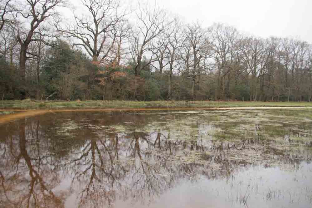 Bramshot Farm Country Park景点图片