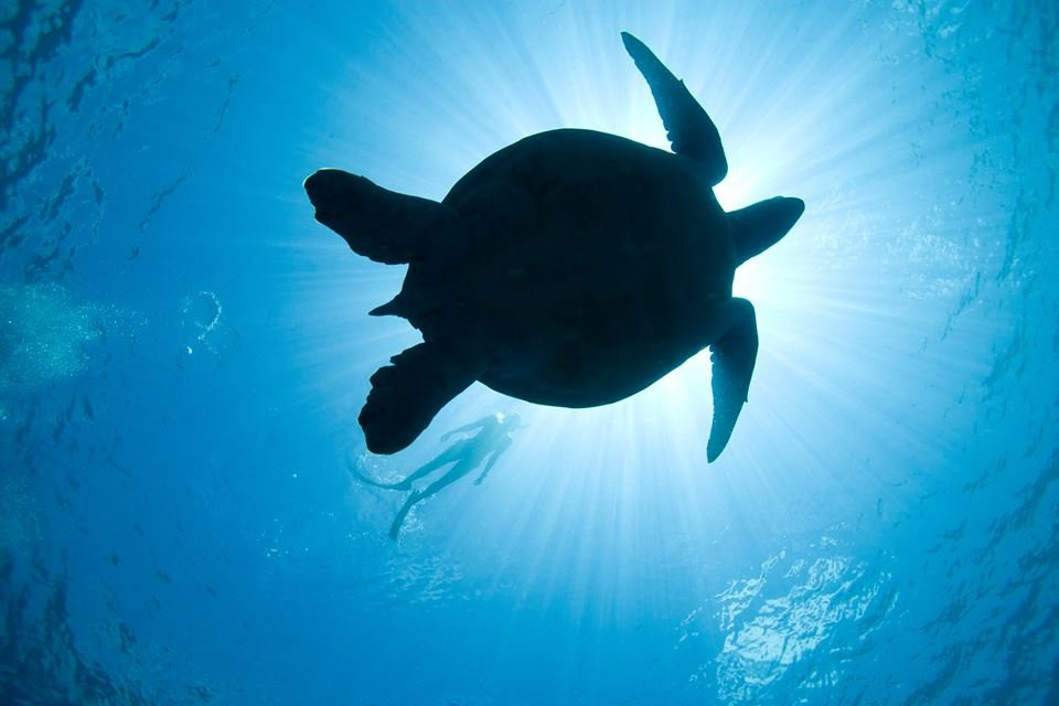 Gypsy Divers Dive Resort-哈夫洛克岛必去景点