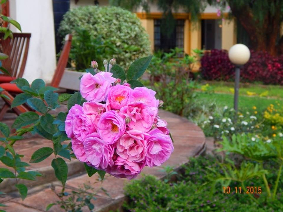 ACK St.Julians Centre主图