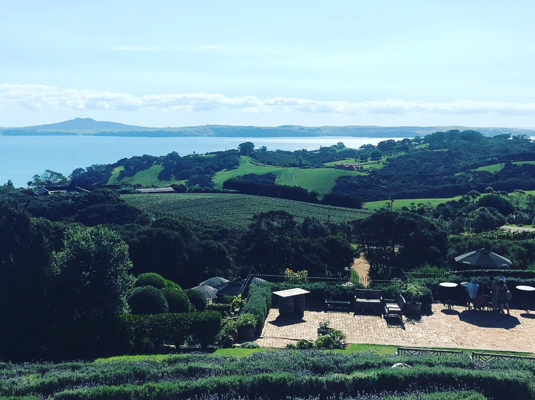 Waiheke Island Wine Tours景点图片