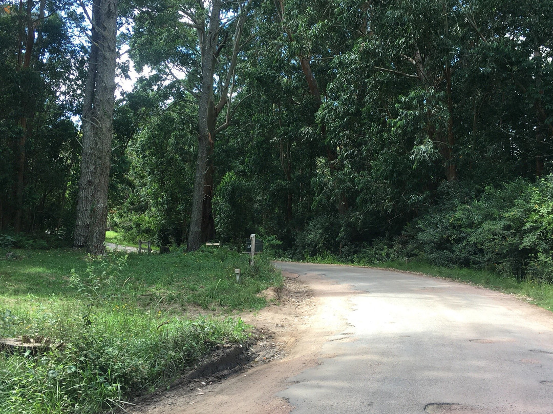 Playa Grande-Punta del Diablo必去景点