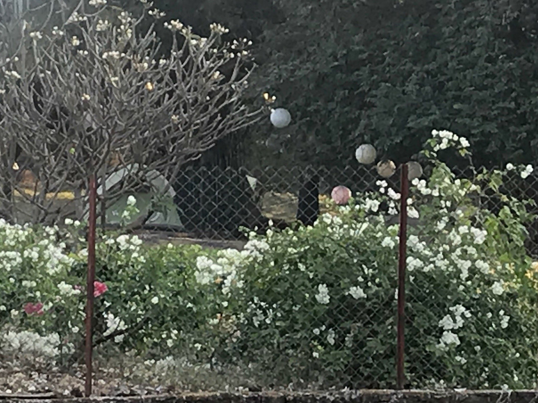 U Tan Sea Resort主图