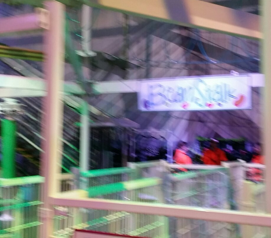 Beanstalk Adventure Ropes Course-Reading必去景点