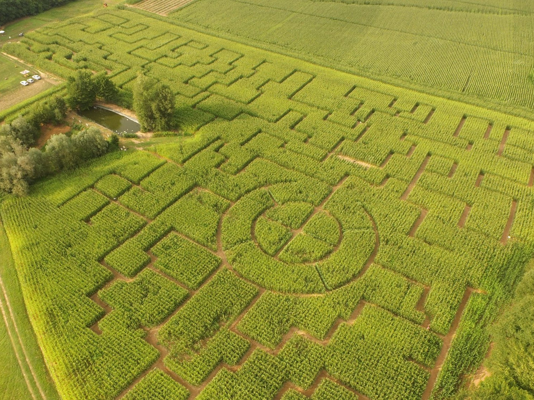 Labyrinthe de Maïs des Châteaux景点图片
