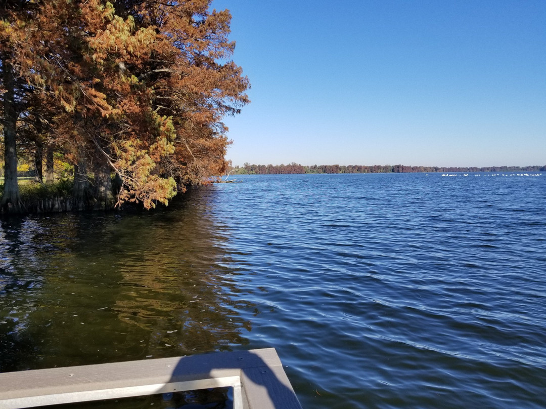 Reelfoot Lake Inn主图