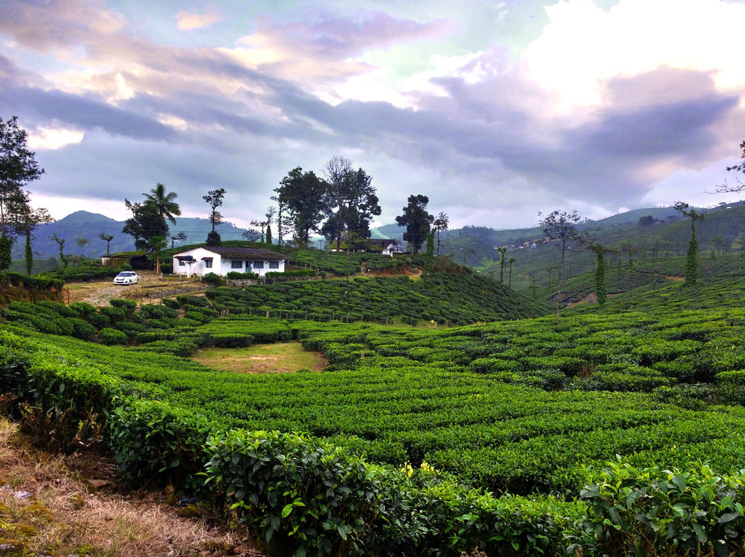 Malakkappara View Point-德里久尔必去景点