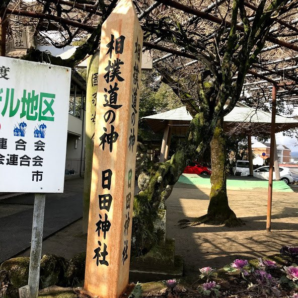 Hita Shrine-日田市必去景点