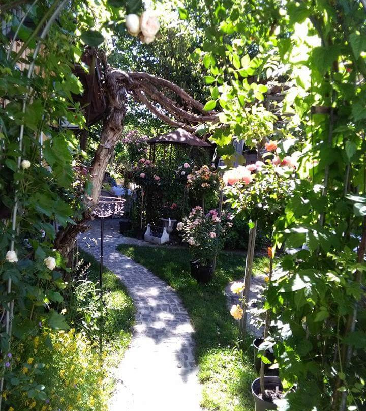 Oberstammheim餐馆和美食-Gartentropfen