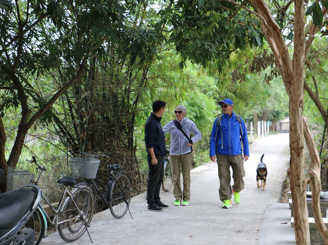 Ninh Binh Eco Travel景点图片