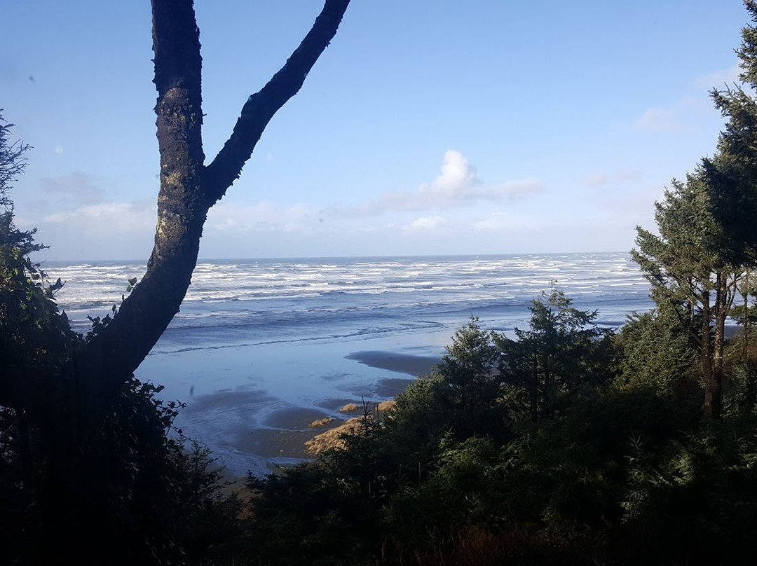 Ocean Crest Resort主图