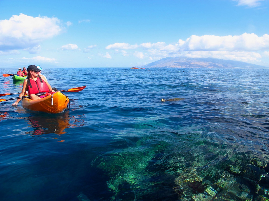 Aloha Kayaks Maui景点图片