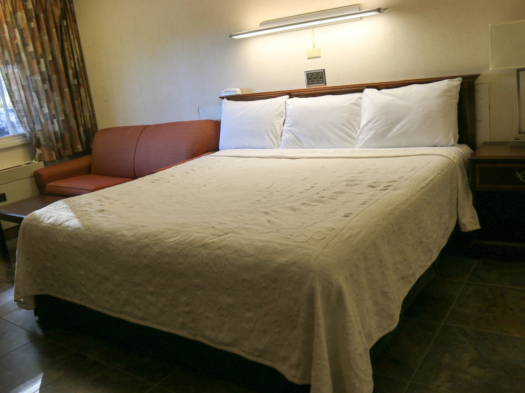 Atlas Motor Lodge主图