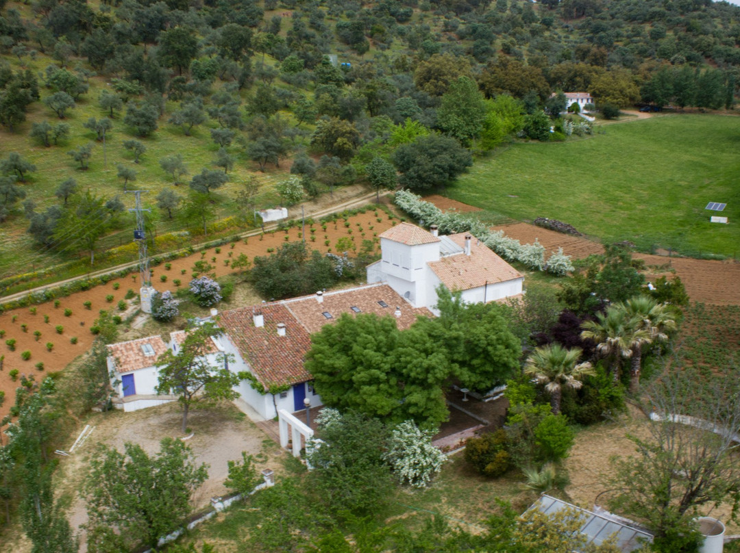 Riscos Altos