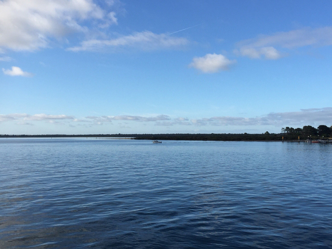 Western Port Ferries景点图片