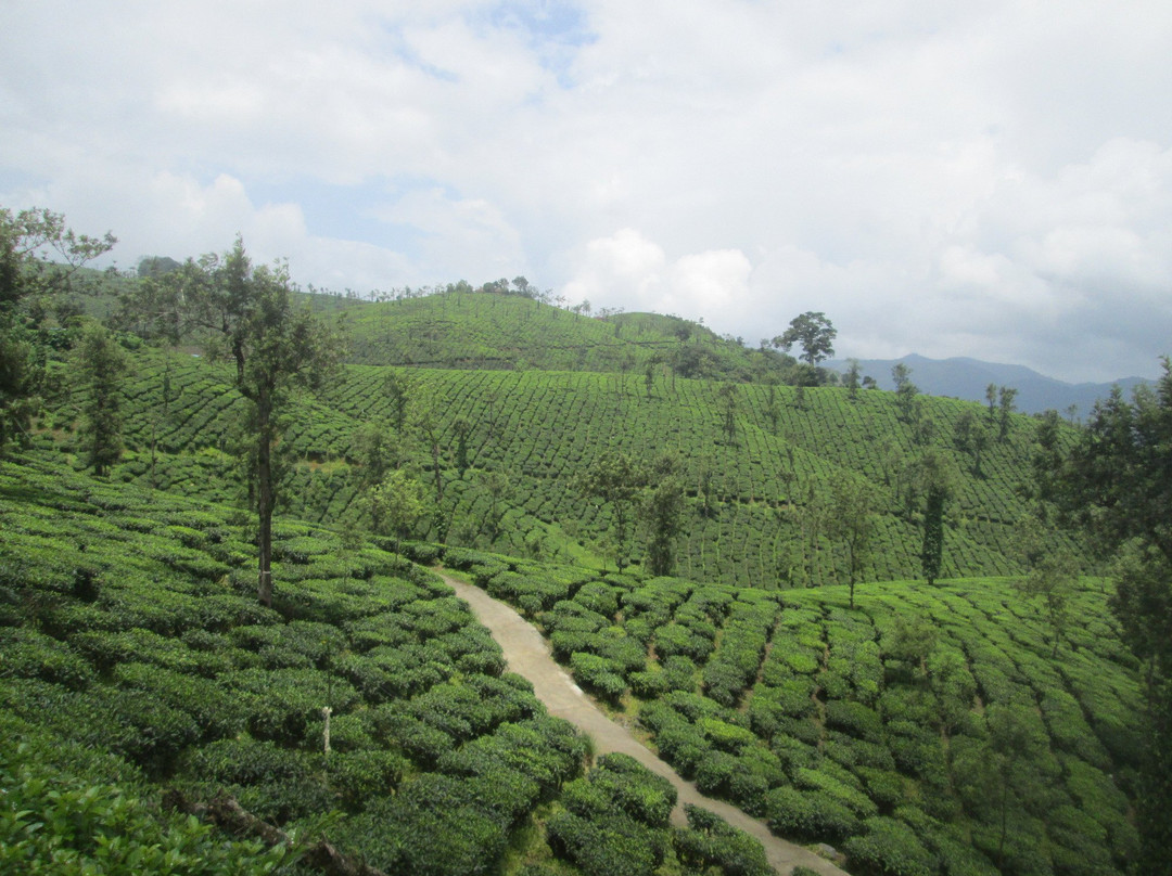 Malakkappara View Point-德里久尔必去景点