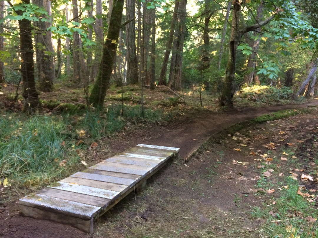Boyle Point Provincial Park景点图片