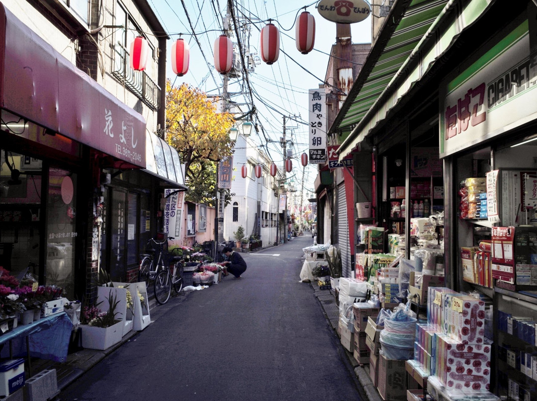 Hatonomachidori Shopping Street-Mukou-jima必去景点