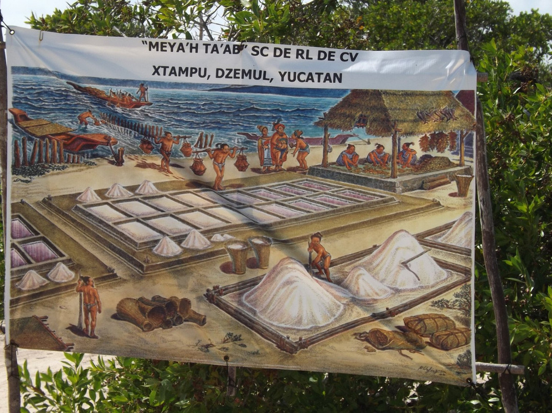 Yucatan Touring景点图片
