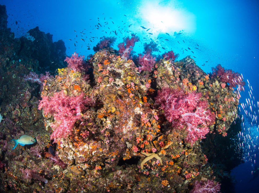 Trang Scuba Diving景点图片