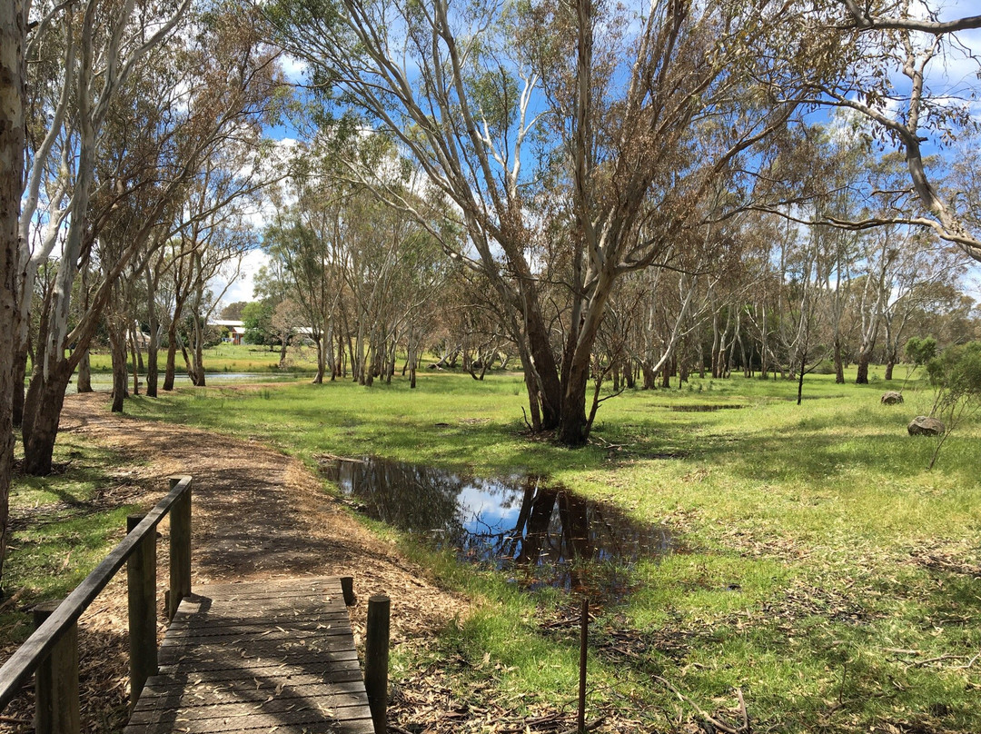 Settlers Walk-Cavendish必去景点