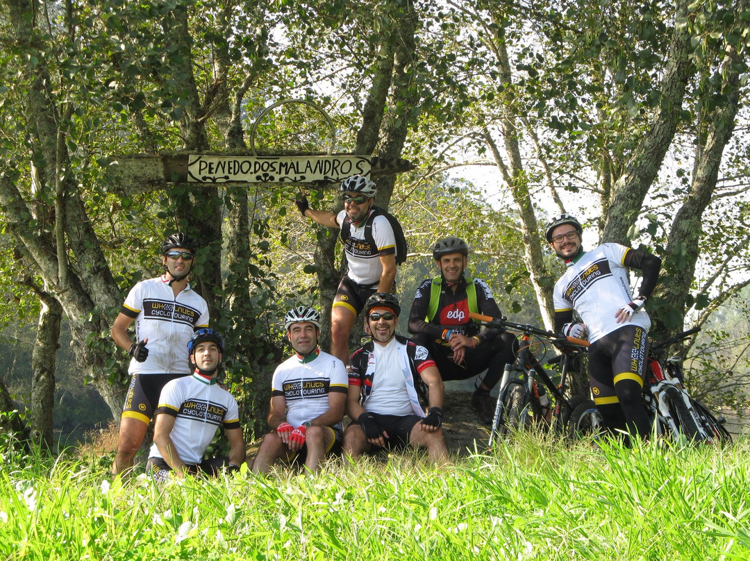 Wheel Nuts Cyclotouring景点图片