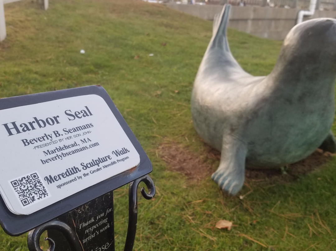 Meredith Marina-梅勒迪斯必去景点