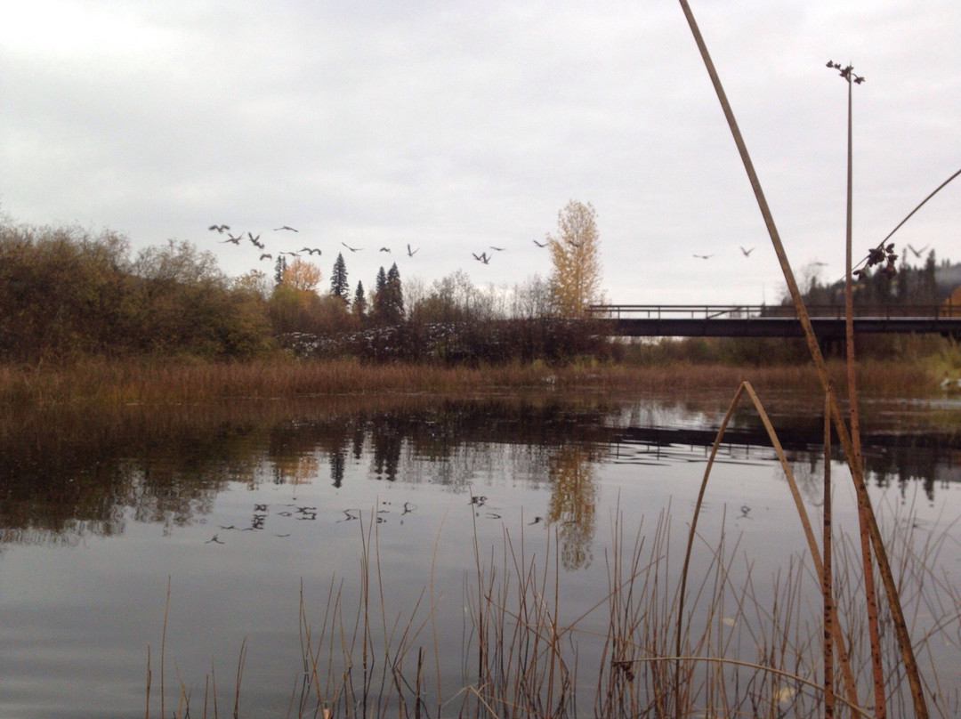 Cariboo Canoe & Kayak Rentals景点图片